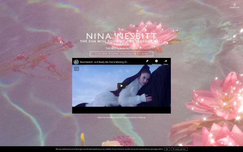 Nina Nesbitt, Website Screenshot
